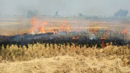 Cum poți arde vegetația uscată sau miriștea fără să iei amendă. Singurele condiții acceptate de ISU