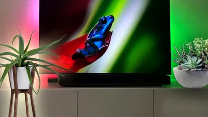 Planta care trebuie așezată mereu lângă televizor. Totul se va schimba pentru tine