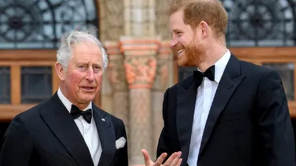 Prințul Harry s-a întâlnit cu Prințul Charles în Marea Britanie. Ce s-a întâmplat la discuția de doar 15 minute