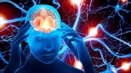 Când îți mor celulele creierului, de fapt. Nu, nu se întâmplă imediat! Descoperire de senzație a cercetătorilor