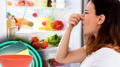 Amestecul banal care schimbă mirosul neplăcut din frigiderul tău. Ai toate ingredientele în casă deja