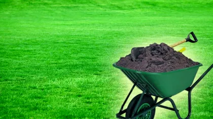 Cum obții un gazon mai des și verde tot timpul. Trucuri utile pe care nu le știai