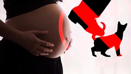 De ce este interzis ca femeile însărcinate să lovească pisicile cu piciorul. Ce tradiții ciudate mai există în România