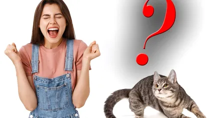 Motivul pentru care pisica ta fuge când îi spui ‘zât’. Ce aude, de fapt