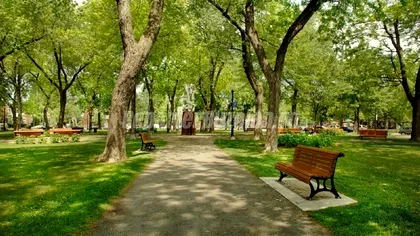Parcul cunoscut din București care și-a schimbat numele. E oficial, totul a fost aprobat la Primărie
