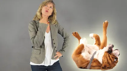 Câinele tău stă cu burta în sus? Mesajul pe care îl transmite e cu totul altul decât credeai