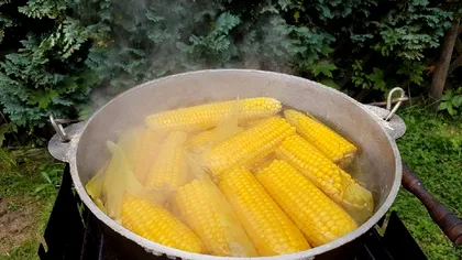 Cât să fierbi porumbul pentru a ieși moale. Durata ideală pentru o gustare delicioasă