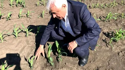 Petre Daea, anunț terifiant privind efectele devastatoare ale secetei. Ce îi așteaptă pe români: „Nu suntem departe