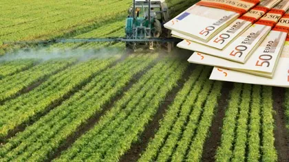 Afacerea cu care românii au dat lovitura. Se câştigă zeci de mii de euro la hectar