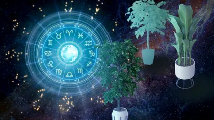 Horoscopul plantelor de apartament. Ce floare trebuie să ai neapărat în casă în funcţie de zodie