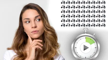 Iluzia optică de rezolvat în 15 secunde. Tu în cât timp găsești zebra diferită?
