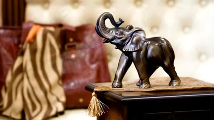 Semnificația elefantului potrivit Feng Shui. De ce este bine să îl ai în casă și unde trebuie să îl așezi