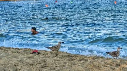 Pericolul la care te expui dacă nu faci duş după ce ai înotat în mare. Detaliul la care nu te-ai gândit până acum