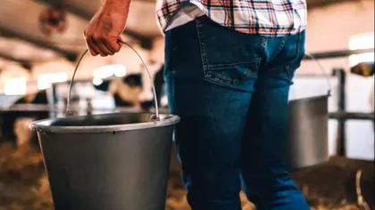 Găleți cu resturi umane cumpărate de pe Facebook, găsite de polițiști în subsolul unei case. Ce voia să facă proprietarul cu ele, de fapt