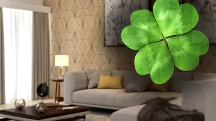 Colțul prosperității din casa ta. Cum îl găsești și cât de mult noroc îți aduce