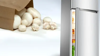 De ce să pui ciupercile în frigider doar în pungă de hârtie. Greșeala pe care o fac mulți oameni