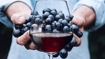 Secretul celui mai bun must. Unde trebuie să îl ții, de fapt, până se limpezește complet