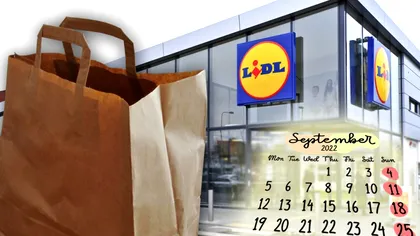 Produsul care apare joi în toate magazinele Lidl România. Mulți se vor bate pe această unealtă ieftină