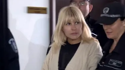 Elena Udrea ar putea scăpa de dosarele penale. Greşeala sesizată de o judecătoare