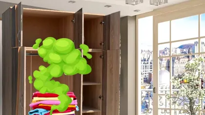 Planta pe care s-o așezi în șifonier. Te scapă de orice miros neplăcut