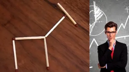 Mută un singur băţ de chibrit astfel încât animalul din imagine să se uite spre stânga. Doar românii cu adevărat inteligenţi reuşesc!