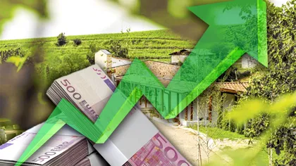 Afacerea banală cu care nişte români au dat lovitura. E vorba de milioane de euro, cererea e în creştere