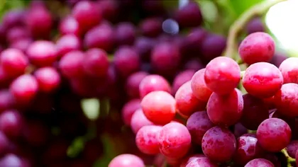 Ce înseamnă dacă fructele din magazine au un praf alb pe ele. Este bine sau nu să le cumperi?