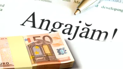 Locul de muncă plătit regește, dar pe care nu-l vrea nimeni. Salariul este de 50.000 de euro