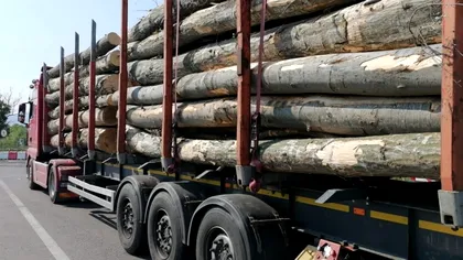 Noua țeapă din România vizează lemnele de foc. Cum își păcălesc vânzătorii clienții, în prag de iarnă