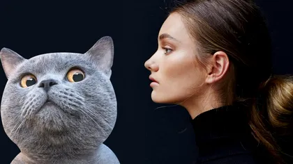 Pisica ta nu se poate uita în ochii tăi? Mesajul pe care îl transmite e mai profund decât credeai