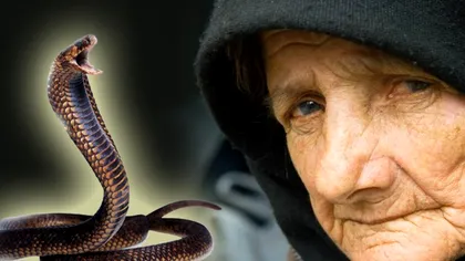 Semnificația șarpelui în vechile credințe românești. De ce era considerat ocrotitorul casei
