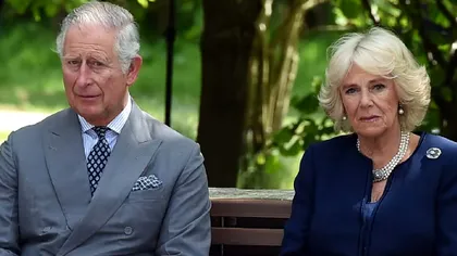 Detaliul apărut în ultimul portret cu Regele Charles și Camilla. Puțini oameni știau asta despre cuplul regal