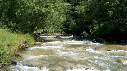 O adevărată comoară, descoperită în adâncurile României de curând. Doar aici se mai găseşte, e unică în lume