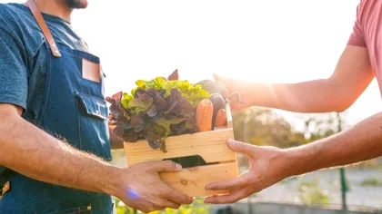 Legea care ar putea salva producătorii locali. Instituţiile publice, obligate să ia alimentele de la români