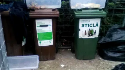 În loc de pisici, românii găsesc la ghena de gunoni pitoni. Un orădean a avut șocul vieții atunci când a dat peste 3 șerpi gigantici. Ce a făcut imediat