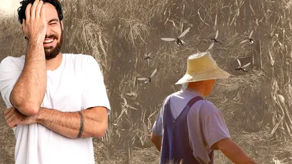 Bancul zilei. Cum a scăpat un moldovean de ţânţari