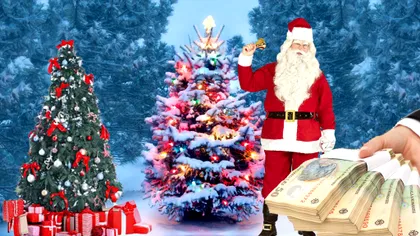 Cât costă brazii de la Romsilva în 2022. Zeci de mii de pomi, scoşi la vânzare. Preţurile sunt mai mici decât în magazine