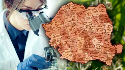 Comoara unică a României descoperită abia acum. Cercetătorii din întreaga lume au ajutat, e cu adevărat specială