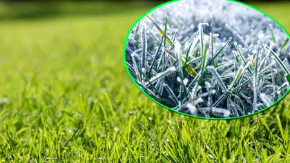 Cum protejezi gazonul iarna. Ce trebuie să faci neapărat ca să reziste până la primăvară