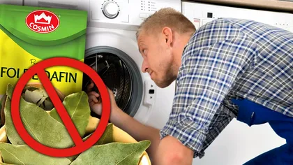 De ce să pui frunze de dafin în maşina de spălat rufe. E trucul anului, a devenit viral