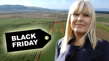 Decizia luată de ANAF pentru terenurile Elenei Udrea. Reduceri de Black Friday