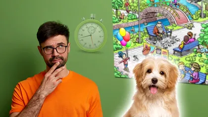 Iluzia optică pe care o rezolvă doar geniile. Găsești câinele pierdut în 20 de secunde?