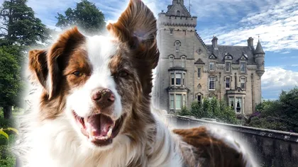 Locul învăluit de mister în care au murit oameni și mulți câini. De ce vin special pe acest pod