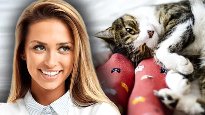 Pisica ta adoarme la picioarele tale? Motivul e neașteptat, de fapt