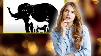 Test inedit de personalitate. Câte animale vezi în imagine şi câte sunt, de fapt? Rămâi surprins