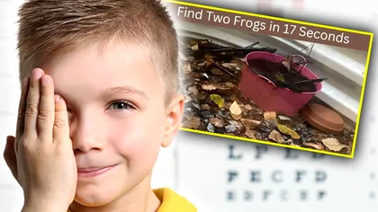 Testul care îţi arată cât de bine stai cu vederea. Găseşte cele două broaşte din imagine. Ai doar 17 secunde la dispoziţie!