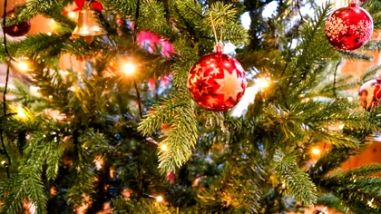 Tradiții și obiceiuri în a doua zi de Crăciun. Ce nu este bine să faci sub nicio formă pe 26 decembrie