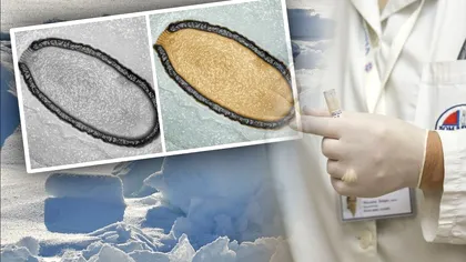 Virusul care a stat îngheţat zeci de mii de ani într-un lac a ieşit la suprafaţă. Avertismentul sumbru al specialiştilor