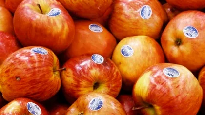 Ce înseamnă, de fapt, etichetele de pe fructele din supermarket. Ce trebuie să faci imediat dacă acel cod începe cu cifra 9