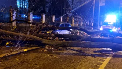 Bărbat prins sub un copac în faţa clădirii Jandarmeriei Române din Capitală. A fost chemată o echipă SMURD